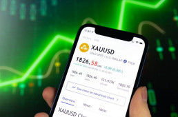 XAUUDS ETF or